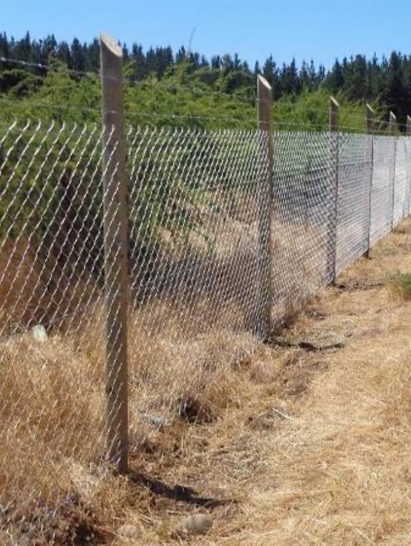 Imagen de WhatsApp 2025-06-05 a las 13.23.49_f51a3784